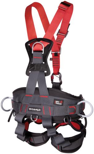 Preview: Golden Top Plus back